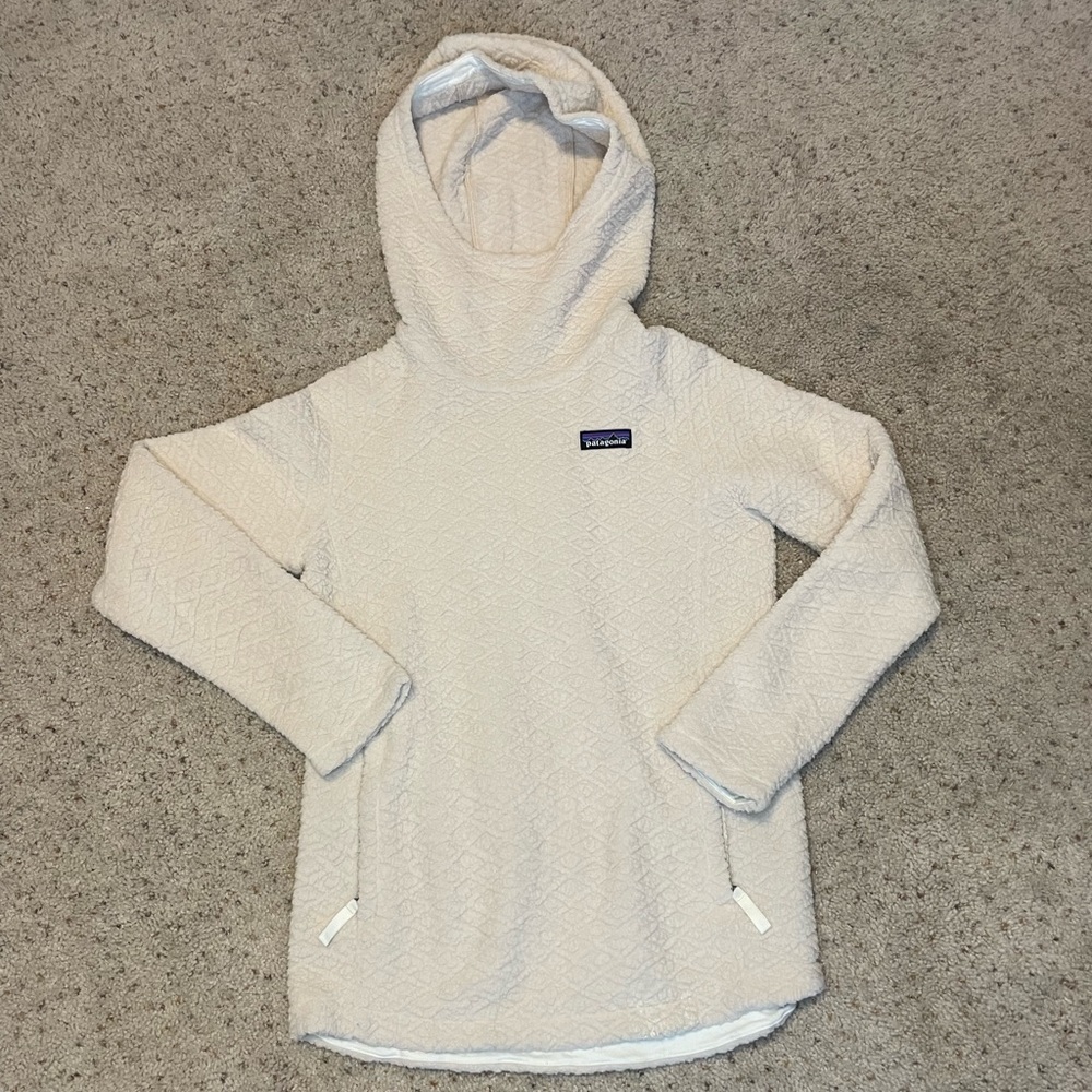 Brand new Patagonia Hoodie